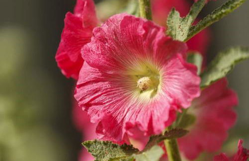 Ferienhof Weltenburg - Foto 26