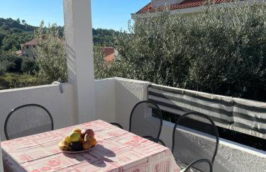 my home Promajna - Foto 48