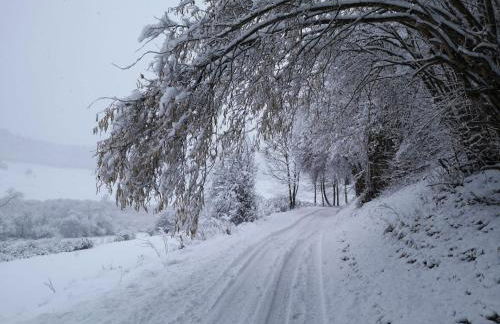 Ferienwohnung Maar-Idyll - Foto 26