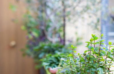 Porta Pia apartment ZENO 53 - Foto 47