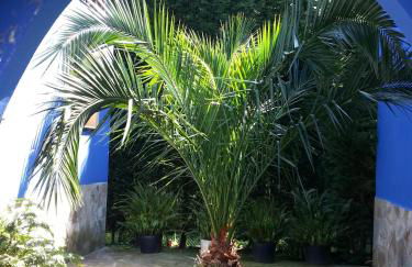 Complejo rural Alhelí - Apartamentos y habitaciones - Foto 3