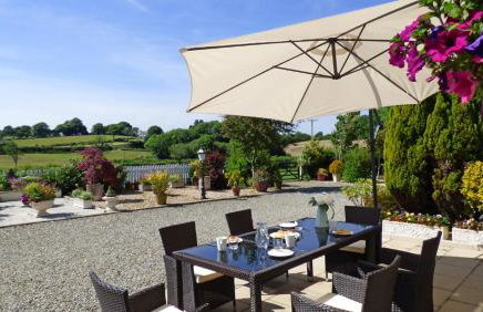 Clayford Cottage - Foto 21