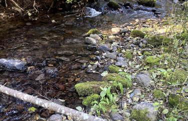 Cabin 6 The BIKE HAUS - Foto 28