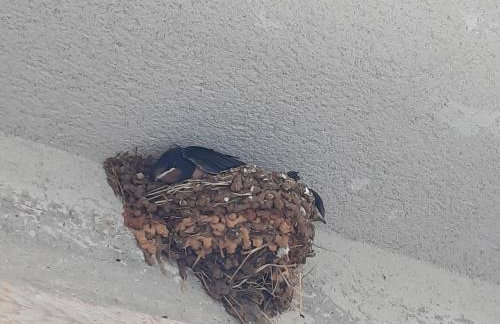 Apartman Brina - Photo 28