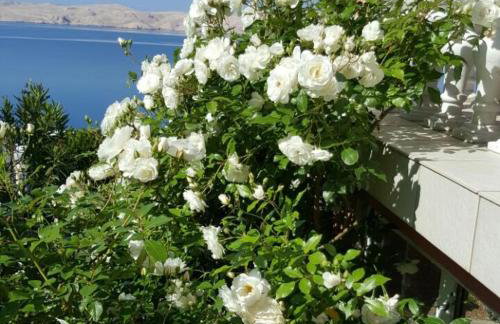 Villa Lilly 3 - Foto 18