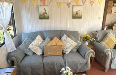 Beautiful Rural Holiday Chalet With Hot tub and Igloo cinema - Photo 8