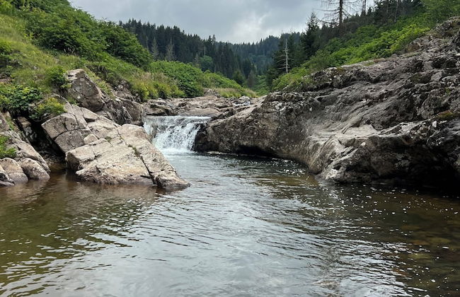 Ny Çambaşı - Foto 78