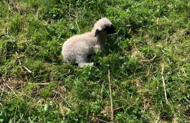 Lieblingsplatz - Foto 18