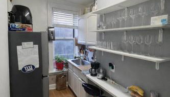 Room in a 2 Bedrooms Apartament Long Island City, Kitchen and Bathroom shared with very nice host - Foto 3