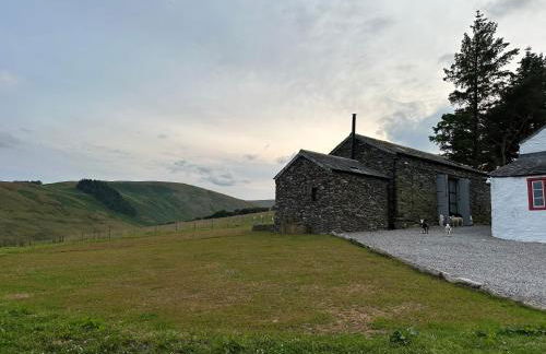 Wild boar barn - Foto 21