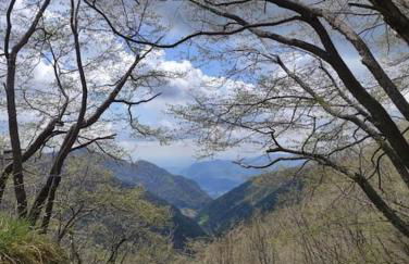 La Casetta di Barzio - Foto 4