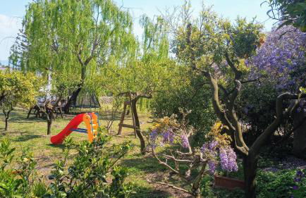 Casa sul Monte d'Oro - Foto 3