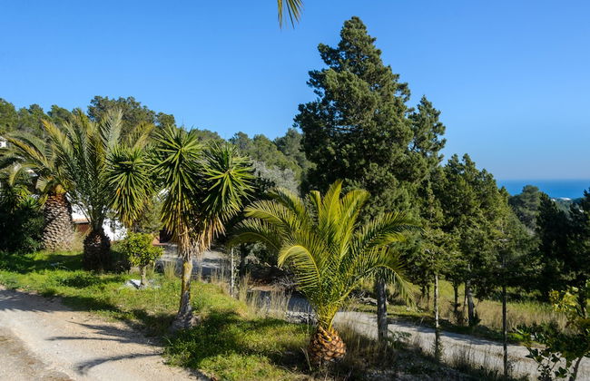 Villa Bella Vista Peralta - Photo 39