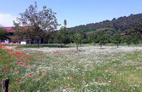 GÎTE DU BOUYSSOU - Foto 2