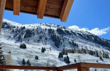 Nouveau chalet d'architecte Le Lauzaret sauna et jacuzzi Villard-Reculas - Foto 9