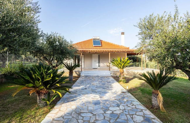 Aelia Guesthouse - Olive Grove Retreat - Foto 21
