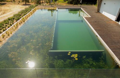 Quinta da Sra Marocas - Foto 57