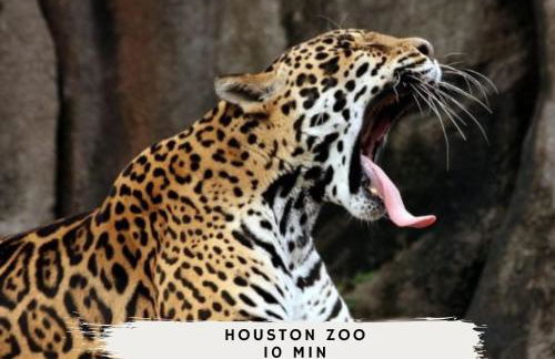 Best of Midtown-3 Bedrooms Minutes to Attractions - Foto 45