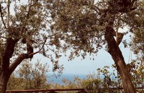 Breathtaking Sea View Apartment on Sorrento Coast with Sunset Terrace & Parking - Foto 30