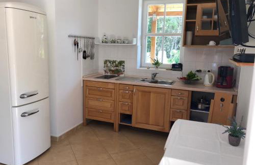 Casa Viter Zaostrog - Photo 41