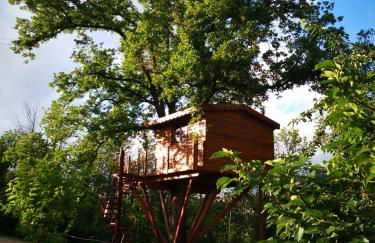 Casa sull'albero Bocchineri - Photo 7