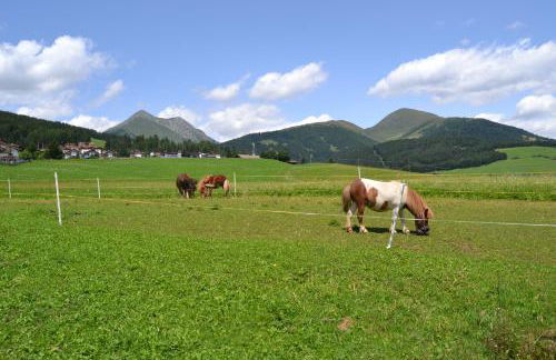 Häuslerhof - Foto 56