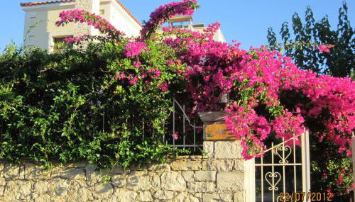 Aloe & Lotus Villas - Foto 3, Garden