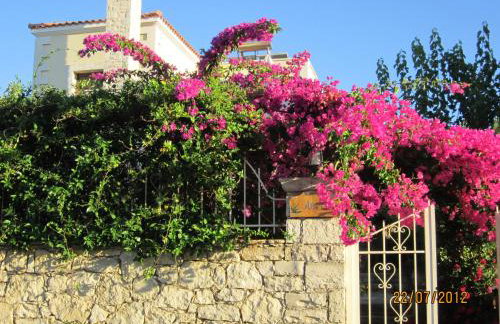 Aloe & Lotus Villas - Foto 3