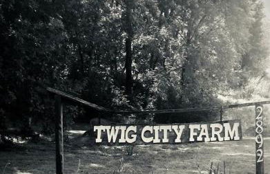 Secluded Watertree Tiny House near Old Hickory Lake – Private Deck, Trails & Breakfast - Foto 75