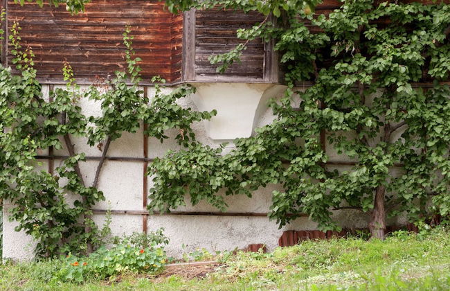 Sunlit Farmhouse near Hochzillertal Ski Area in Tyrol - Foto 21