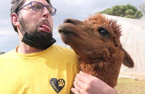 Agriturismo il Podere Vedelago con San Bernardo, Alpaca e una Pentola di cose da scoprire - Foto 67