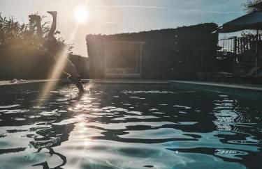 Le Mouron Rouge - Foto 34