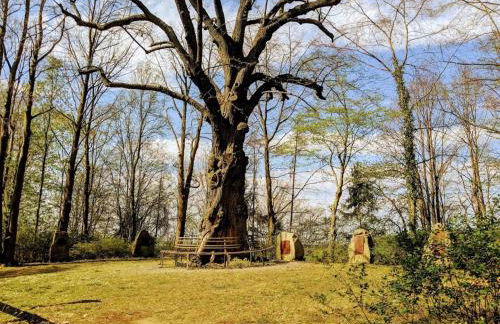 Ferienwohnung in Bissendorf - Foto 55