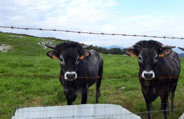 El Mirador de La Hayuela, a 7 min de Comillas - Photo 22