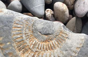 No 96 Chapel Lane - Self Contained Cottage In The Heart Of Butleigh - Photo 34