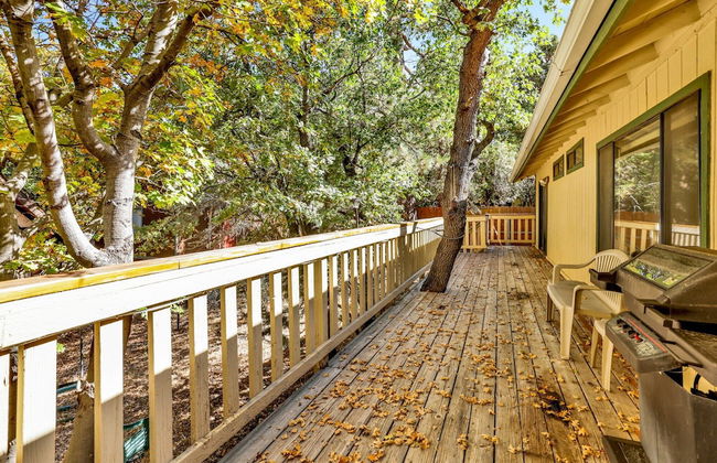 Rutter Family Retreat #2482 - Foto 13