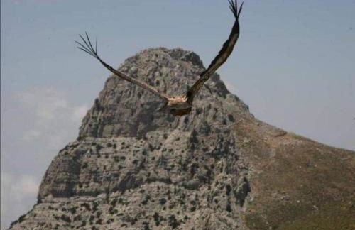 Wooden House at the Mountain-private - Foto 53