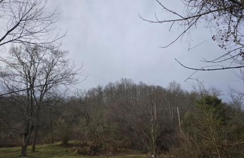 The Happy Place - Foto 31