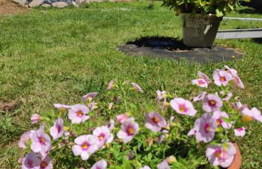 Casa rural A Santiaga en Costa da Morte - Foto 24