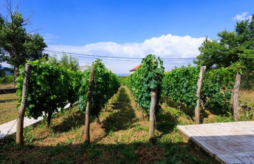 Country side Villa Mila - Photo 36