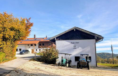 Staufen-Chalet Hochreit - Foto 61