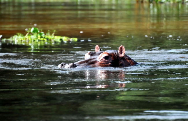Victoria Lake View Guest House & Safaris - Photo 43