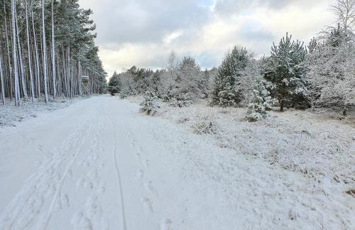 Küstenliebe 8 - Foto 41