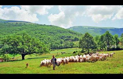 Il Vigneto - Foto 47