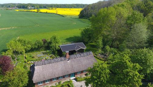 Reetdachkate Fuchsgraben - naturnah & stilvoll mit Wald-Sauna - Foto 2