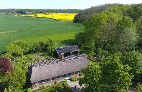 Reetdachkate Fuchsgraben - naturnah & stilvoll mit Wald-Sauna - Foto 2