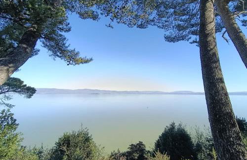 La Gatta sul Tetto - Foto 5