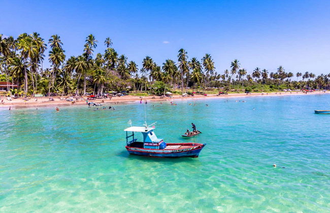 Excursión privada a Maragogi - Foto 3