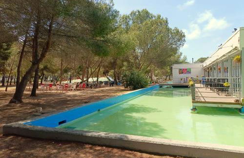 Pine Horizon Family - Photo 25