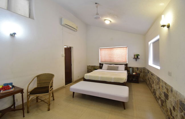 The Lighthouse - Photo 16